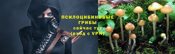 спайс Алексин