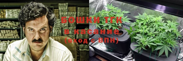 соль ск Алзамай
