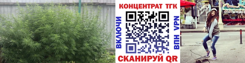 ТГК концентрат  купить наркотик  гидра ТОР  Мирный 